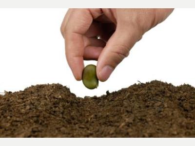 Ofertas de Trabajo en San Juan  Buscamos Ing. Agronomo